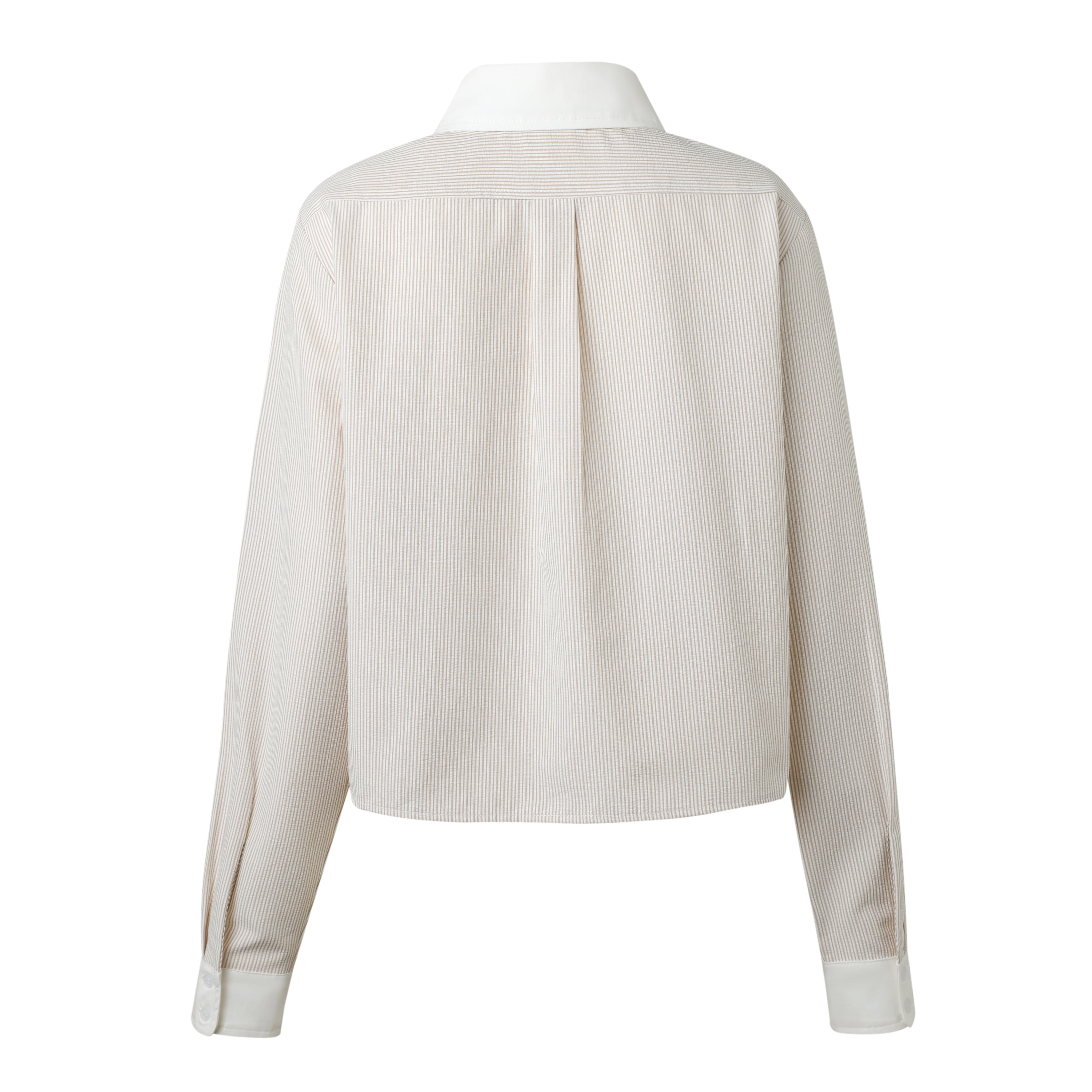 Back Of Beige Stripe Seersucker Button Down
