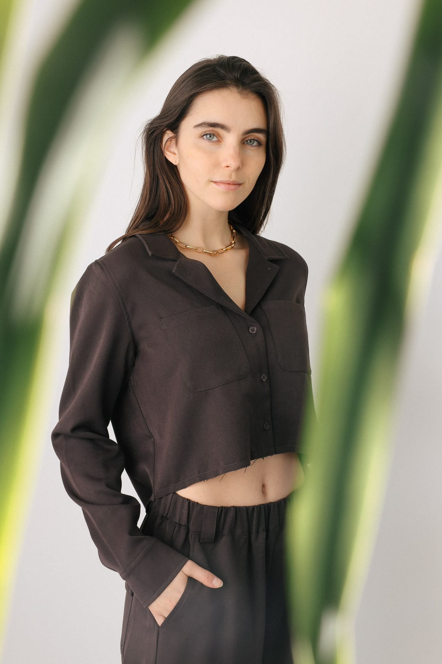 Sylc Designs Womens Dark Brown Cropped Cotton Button Down